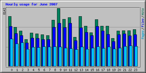 Hourly usage for June 2007